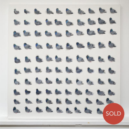Original Painting: One Hundred Pigeons (48" x 48" canvas)