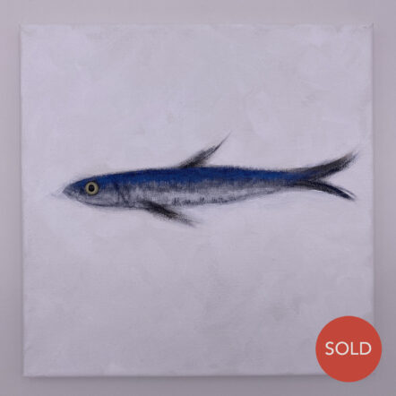 Original Painting: Anchovy 638