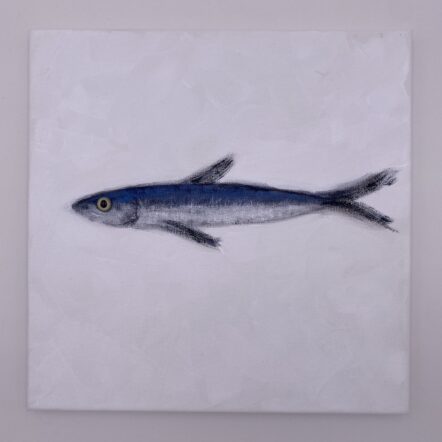 Original Painting: Anchovy 608