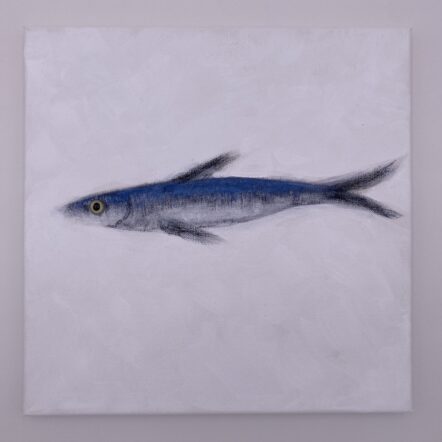 Original Painting: Anchovy 688