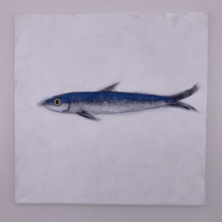 Original Painting: Anchovy 788