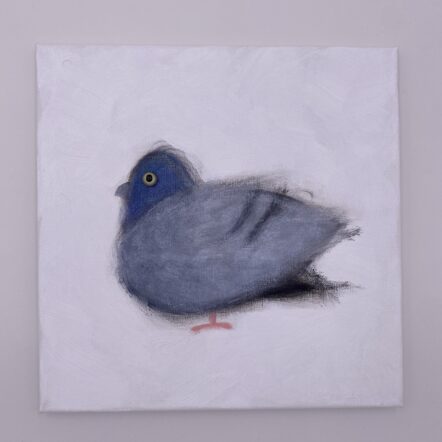 Original Painting: Pigeon Windowsill Apt. 168