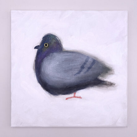 Original Painting: Pigeon Windowsill Apt. 668